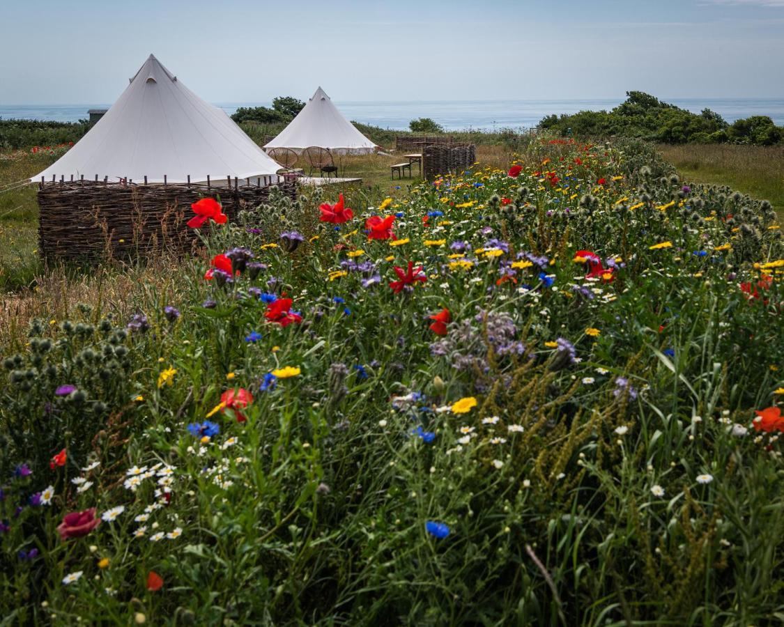 Hotel The Sea Forts Cornwall à Torpoint Extérieur photo